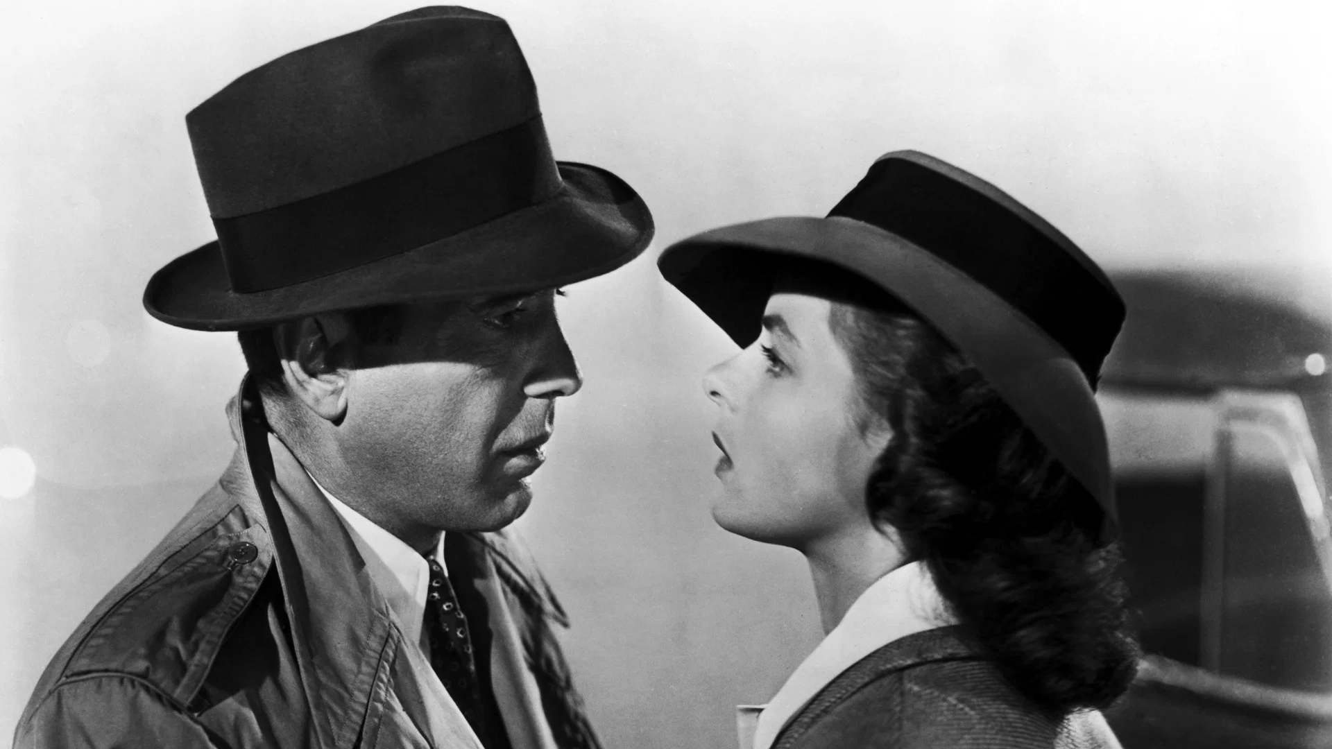 Casablanca review image
